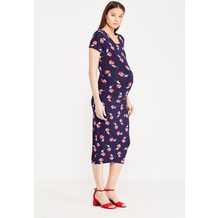 Dorothy Perkins Maternity 